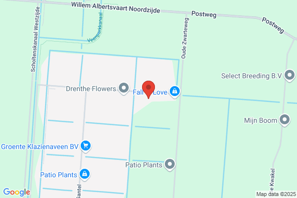 Stricker Bv