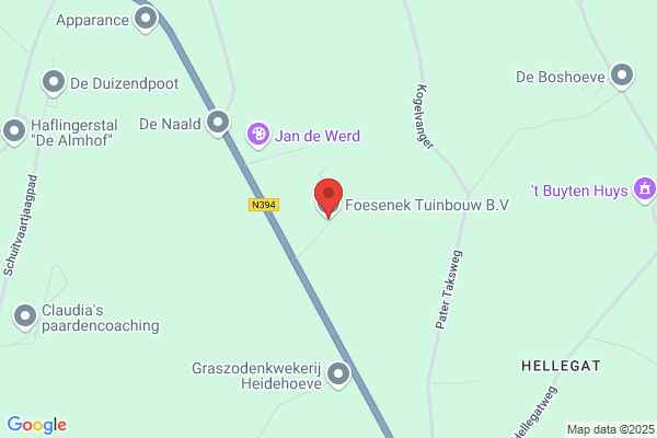 Foesenek