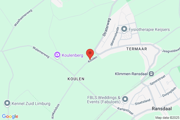 Vaessen, M