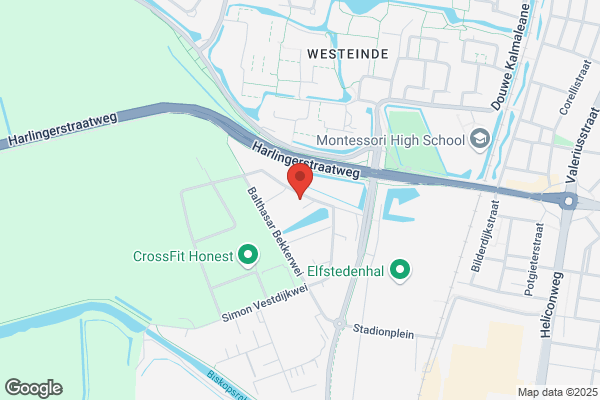 Meesterschilders Friesland