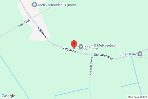 Steenbergen Bv, J