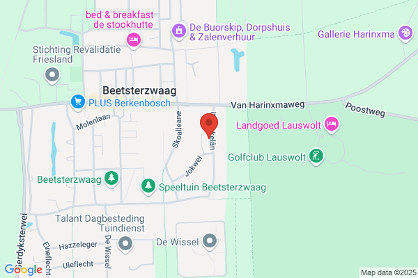 Mensendieck Oefentherapie E Leenman & K Stellingwerf