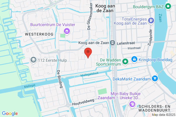 Schijf, Esther