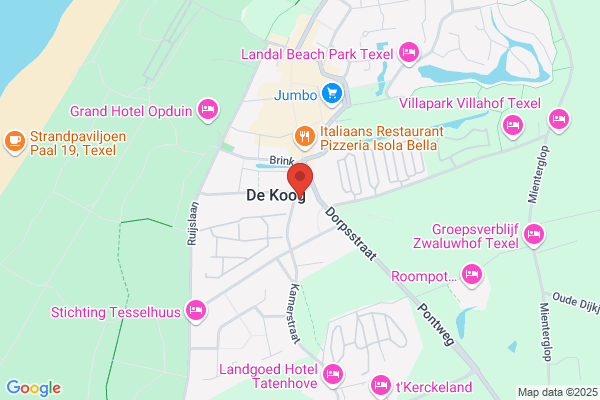 Anneloes Den Haan