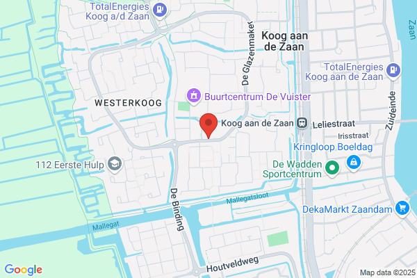 Zwaan