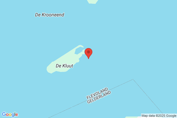 Kluut, De