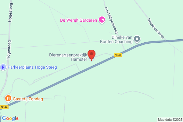 Dierenartsenpraktijk Hamster Bv