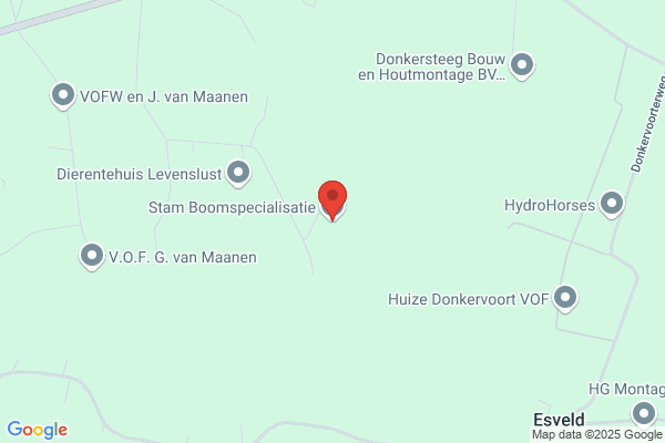 Stam Boomspecialisatie