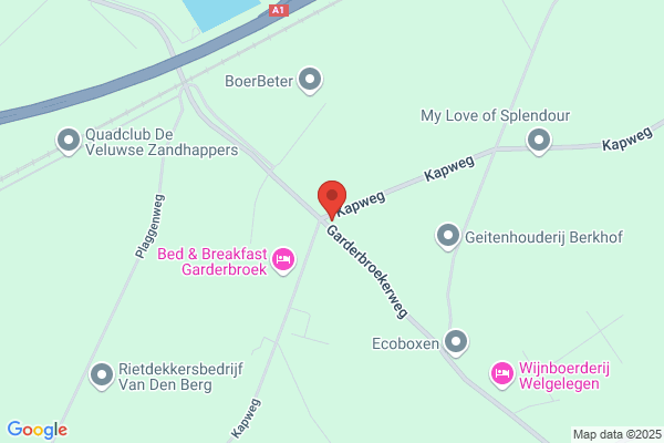 W. Veenendaal