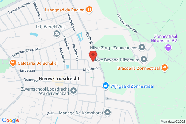 Dutch Mill Bv, The
