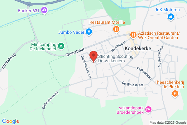 Valkenisse Scouting
