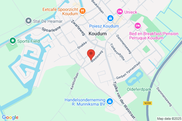 KoesterKunst bij verlies