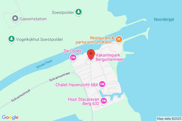Jonas In Den Walvis