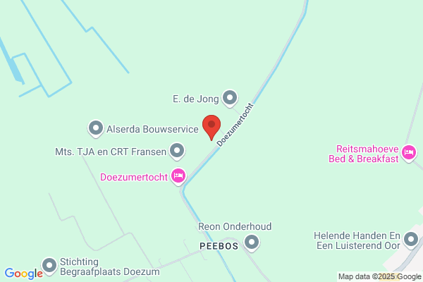 Jong, De
