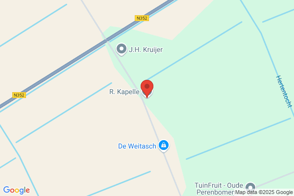 Groen