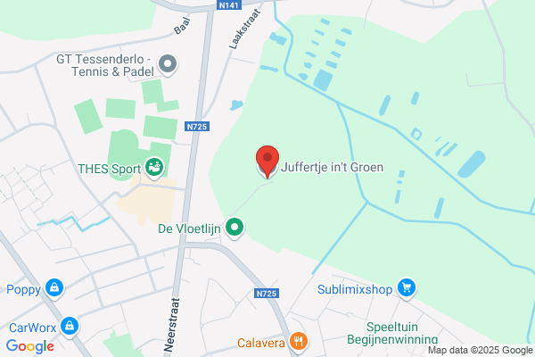 Juffertje In 't Groen