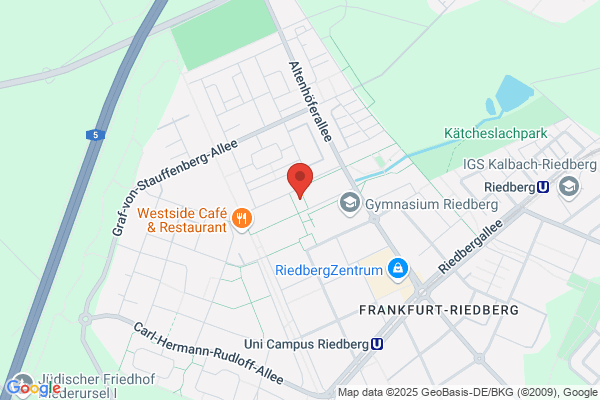 Piraten, De