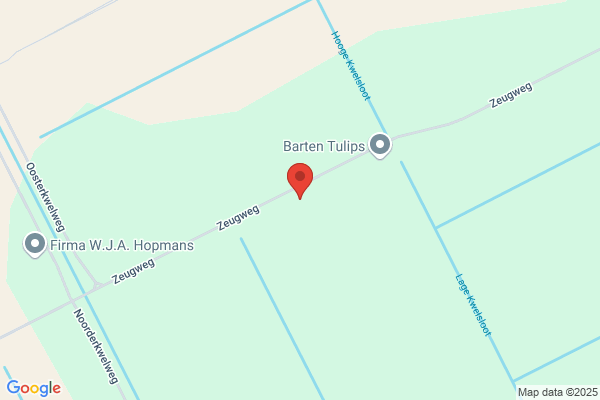 Stands Internationale Tentoonstellingsbo