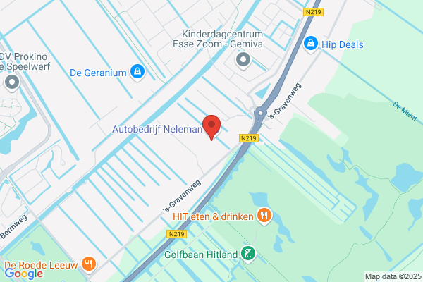 Neleman