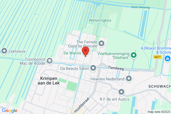 Walvis, De