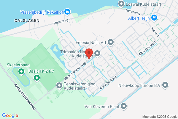 Steur