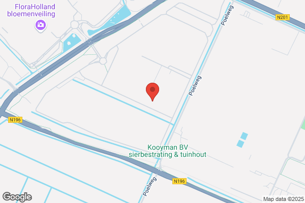 Holland Indoor Plants Bv