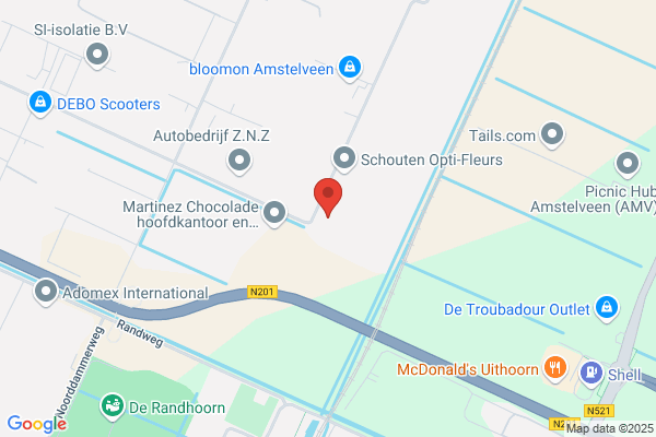 Ruiter's New Roses Int Bv, De