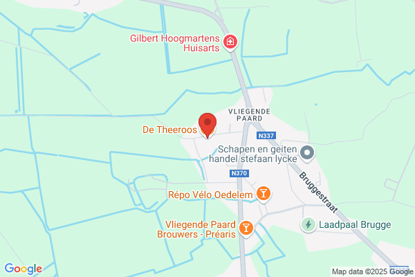 Theeroos, De