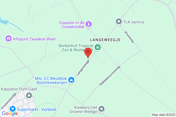Gestalttherapie, Praktijk Voor