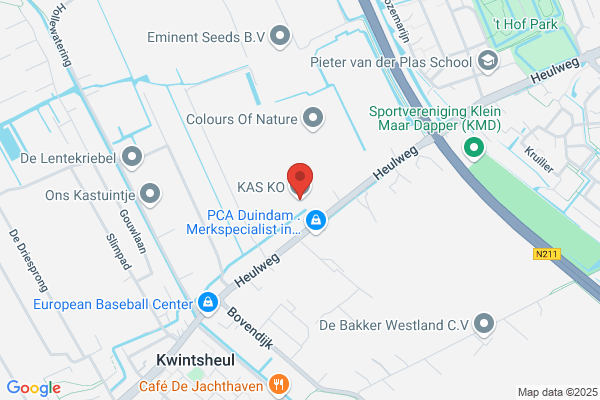 Kinésis Bv