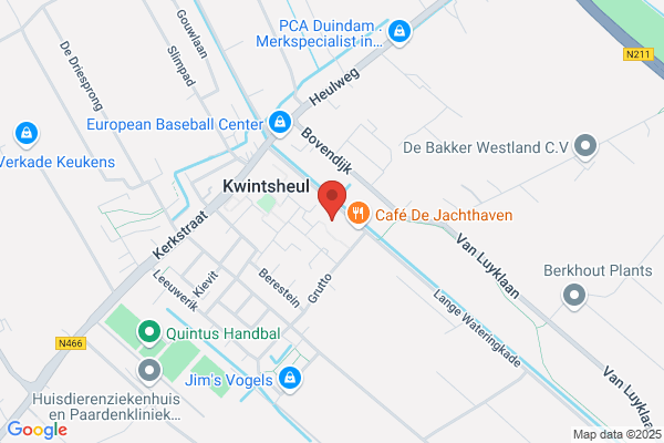 Leeuwestein Management Services