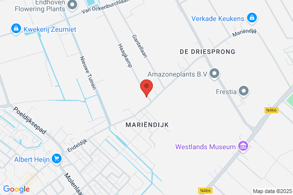 Fa J.W. Van Kester & Zn
