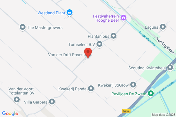Hoogenraad Bloemen- En Plantenhandel Bv