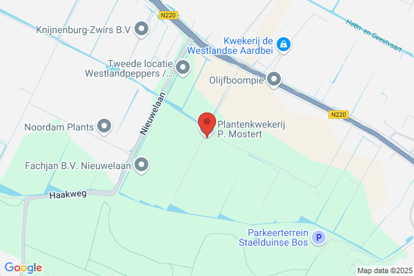Kwekerij A.J. Mostert Bv