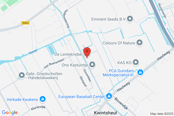 Kwekerij Van Vliet Naaldwijk Bv