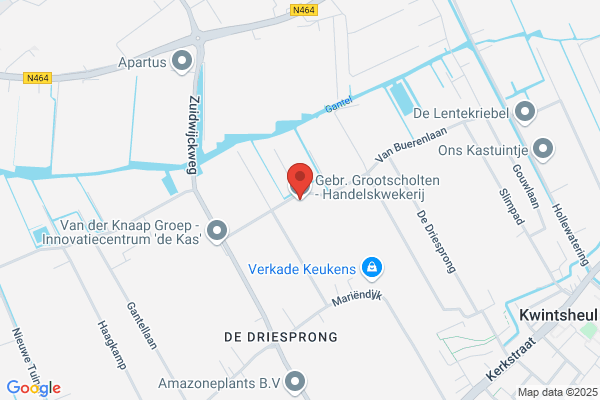 Plantenkwekerij Grootscholten Cv