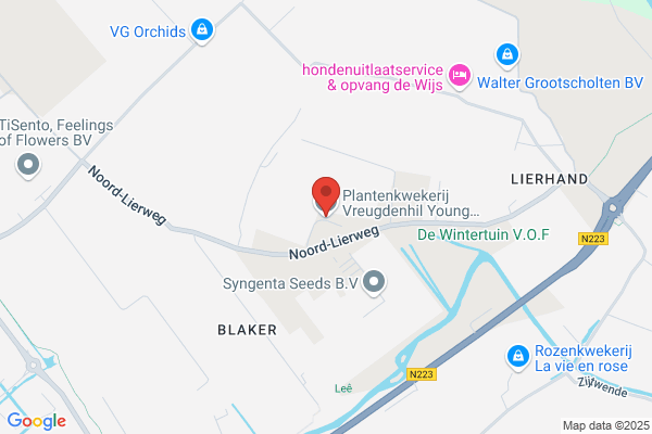 Plantenkwekerij Vreugdenhil Bv