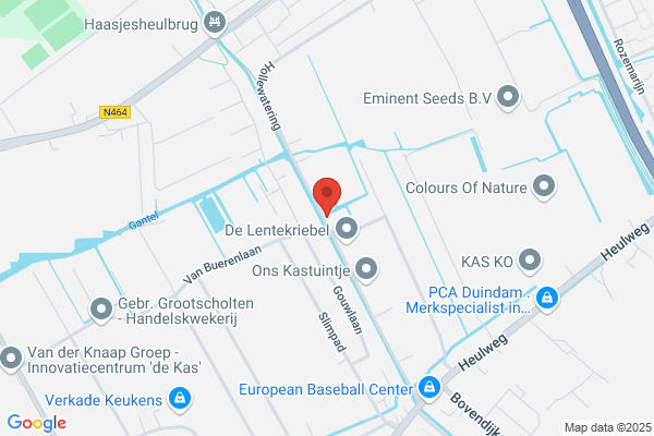 Fa P.L.M. Van Der Arend En Zn