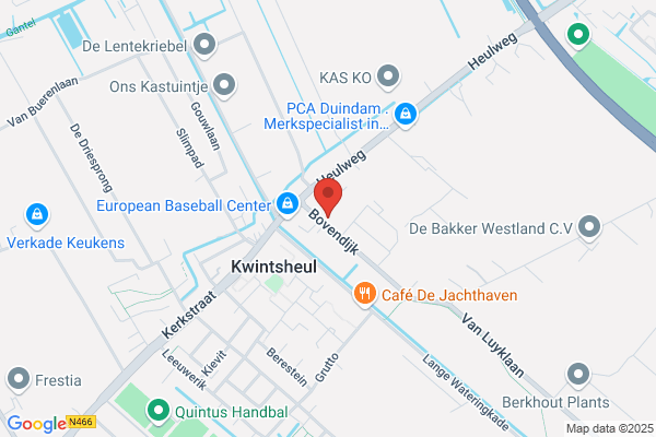 P.J. Koomen Cv