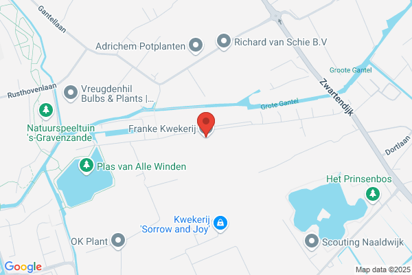 Firma Franke En Van Den Berg
