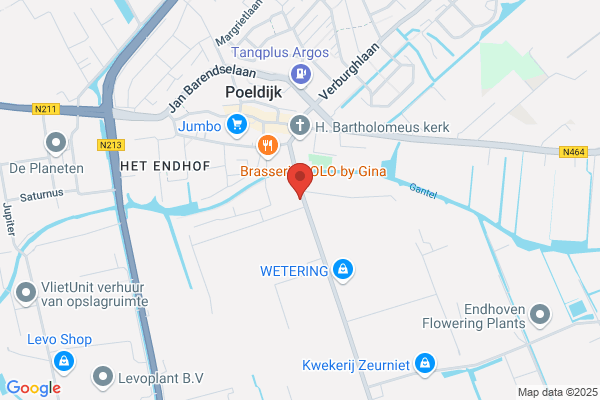 Bergen, Van Den