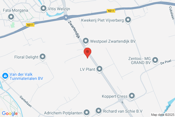 Wubben Bauer - verzekering - hypotheek - pensioen
