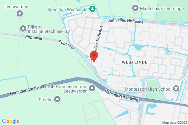 Jong, Anneke De