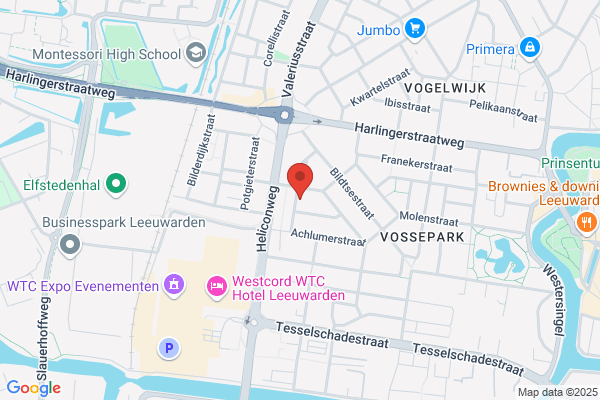 Maatjes, Theaterstichting De