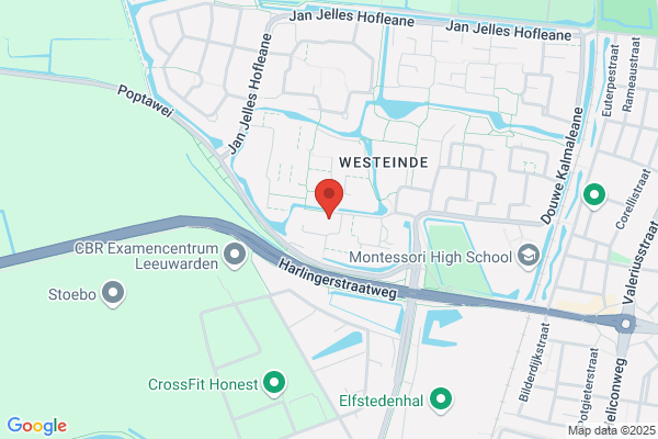 Friesche Rijschool, De