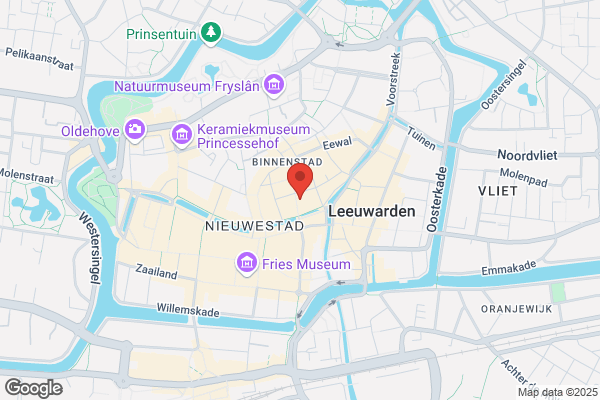 Zaal, Leer En Suède