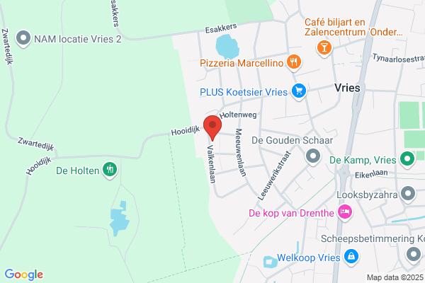 De Lieuwe