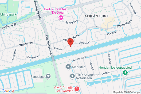 Autorijschool De Frosk