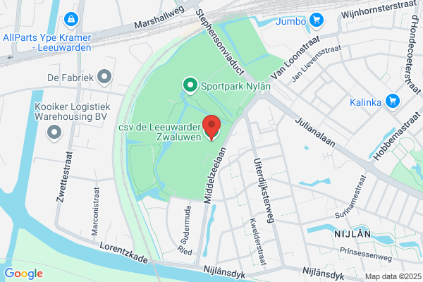 De Leeuwarder Zwaluwen Csv