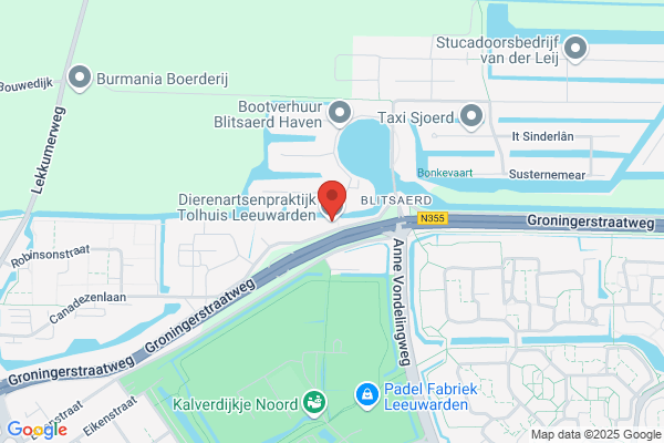 Tolhuis, 't